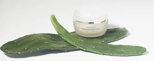 Exquisite - Gentle Enzymatic Peel