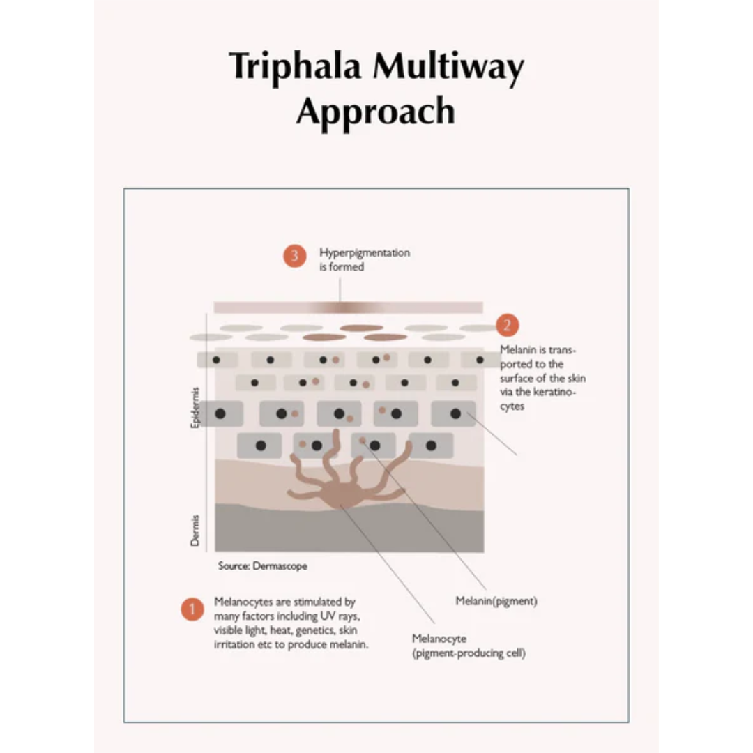 Sachi - Triphala Pigmentation Corrector