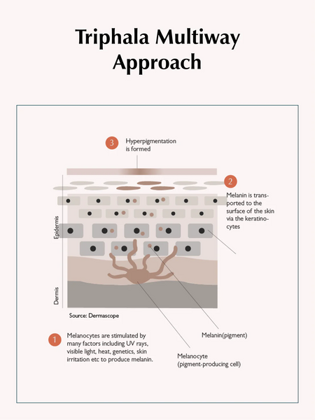 Sachi - Triphala Pigmentation Corrector